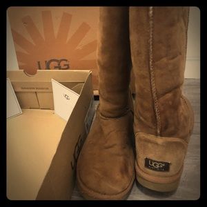 Tall chestnut UGGs